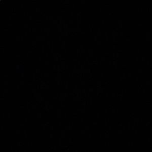 Meet your Posher, Zayy